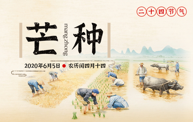 芒種的芒字是什么意思，芒種的寓意和象征