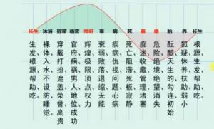 十二長(zhǎng)生對(duì)照表，十二長(zhǎng)生的用法與詳解！