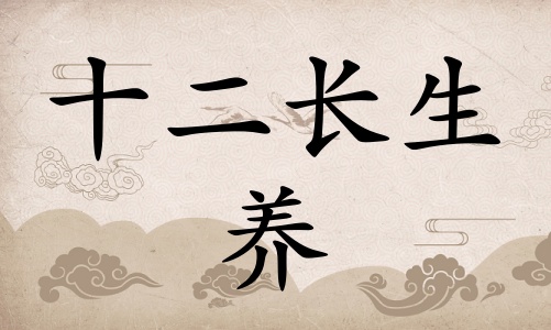 養(yǎng)在八字里面代表什么