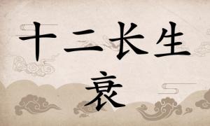 衰在八字里面代表什么，衰在八字里面代表什么意思？ 