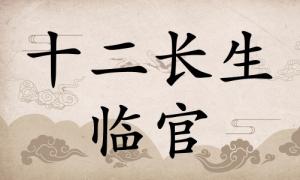 臨官在八字里面代表什么，臨官在八字中代表什么意思？