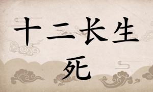 死在八字里面代表什么，死在八字里面代表什么意思？