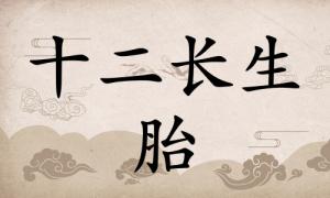 胎在八字里面代表什么意思