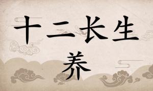 養(yǎng)在八字里面代表什么，養(yǎng)在八字中代表什么意思？