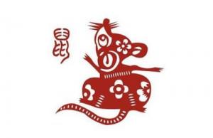屬鼠人2024年全年運勢運程，屬鼠人2024年每月運勢運程！