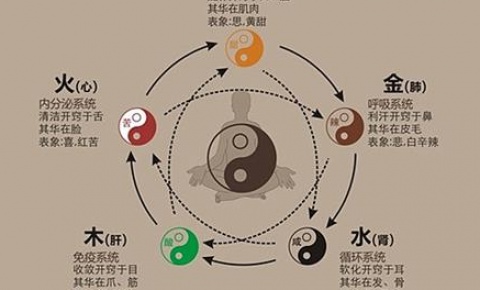 五行之間相生相克的關(guān)系-易經(jīng)怎么入門-易經(jīng)周易知識入門-