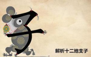 十二地支子是什么意思，五行屬什么？