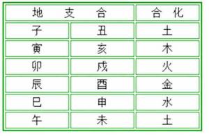 十二地支六合詳解