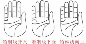 婚姻線分叉代表什么，婚姻線分叉是什么意思？