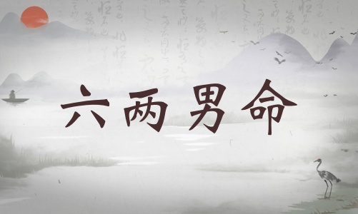 六兩男命詳細解釋，六兩男命詳解一生！