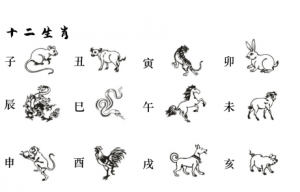 天干地支五行對(duì)照表十二生肖