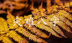 命局里易出現(xiàn)災(zāi)難的八字