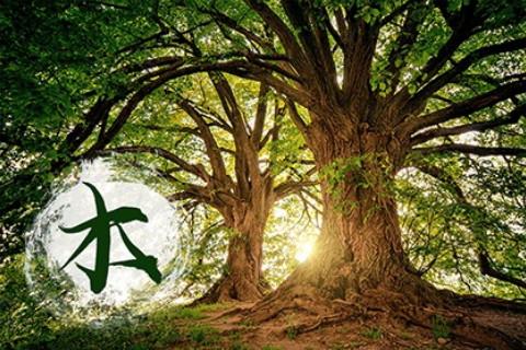 五行缺木怎么補(bǔ)的常規(guī)方式是什么？
