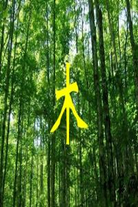 五行缺木會(huì)有什么影響
