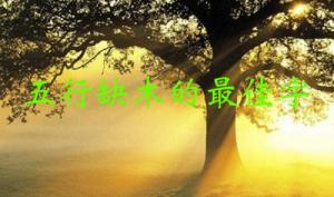 五行缺木的最佳字，五行缺木屬性的字大全！