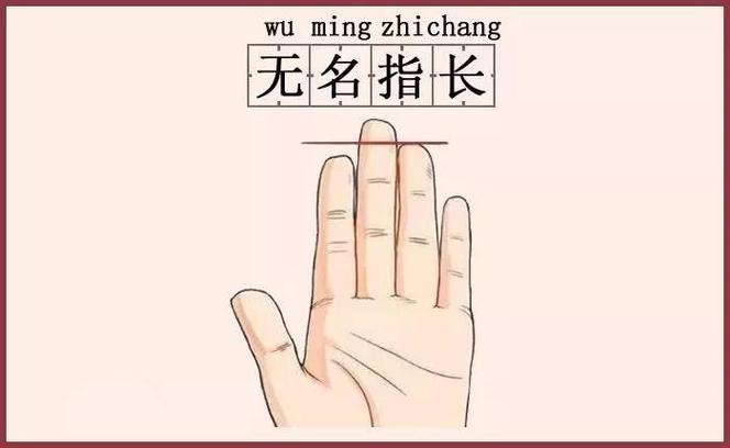 無(wú)名指比食指長(zhǎng)的男人命運(yùn)如何