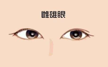 一內雙一外雙是什么眼面相