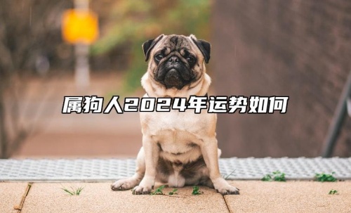 屬狗人2024年全年運勢運程，屬狗人2024年每月運勢及運程詳解！