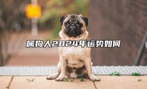 屬狗人2024年全年運(yùn)勢運(yùn)程，屬狗人2024年每月運(yùn)勢及運(yùn)程詳解！