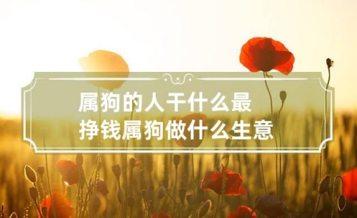 屬狗人做什么行業(yè)發(fā)財(cái)