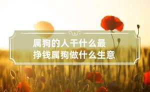 屬狗人做什么行業(yè)發(fā)財(cái)