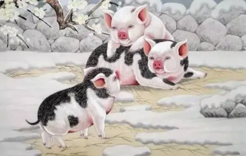 屬豬的和哪個屬相犯沖