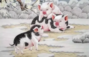 屬豬的和哪個屬相犯沖