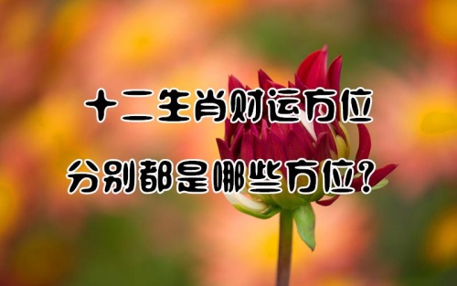 十二生肖財(cái)位對(duì)照表