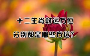 十二生肖財(cái)位對(duì)照表