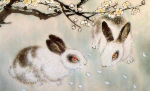 屬兔的人性格和優(yōu)缺點
