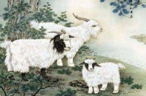 屬羊的人性格和優(yōu)缺點