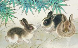 卜算子算命網(wǎng)