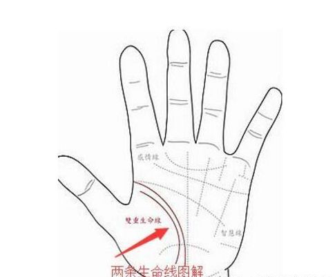 雙重生命線好不好,兩條生命線好不好？