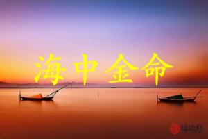 海中金命人適合什么行業(yè)最旺財(cái)