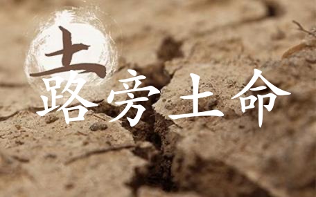 路旁土命是什么意思