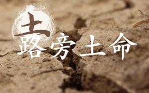 路旁土命是什么意思