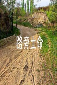 路旁土命適合什么顏色