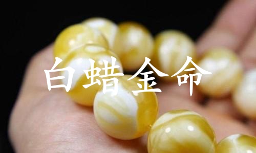 白蠟金命是什么意思