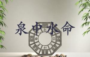 泉中水命什么意思