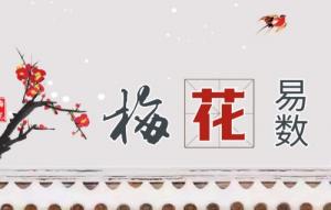 梅花易數(shù)解卦對(duì)照表
