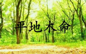 平地木命是什么意思