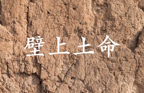 壁上土命和什么命相生相克