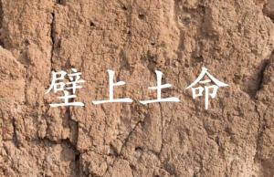 壁上土命和什么命相生相克