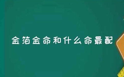 金箔金命和什么命最配