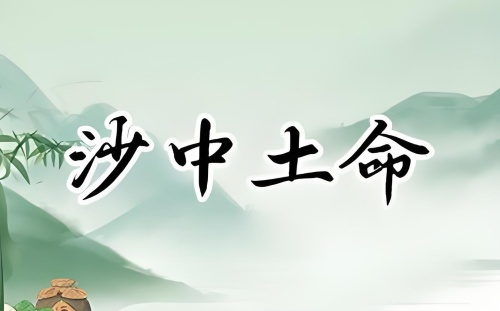 沙中土命適合干什么行業(yè)