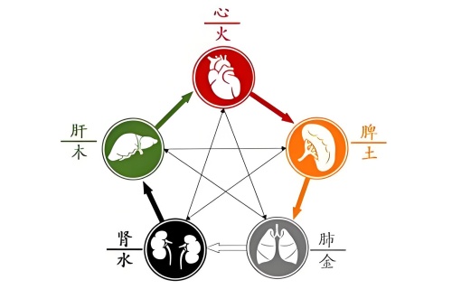 五行內(nèi)臟對照表，五行內(nèi)臟對應(yīng)關(guān)系！