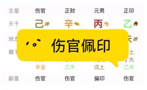 傷官格女命和正印格男命婚姻好嗎