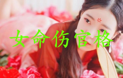 傷官格女命適合什么工作