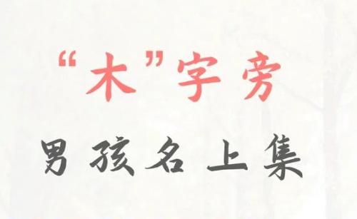 帶木字旁的字男孩名字