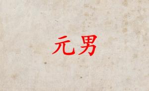 元男在日柱代表什么意思